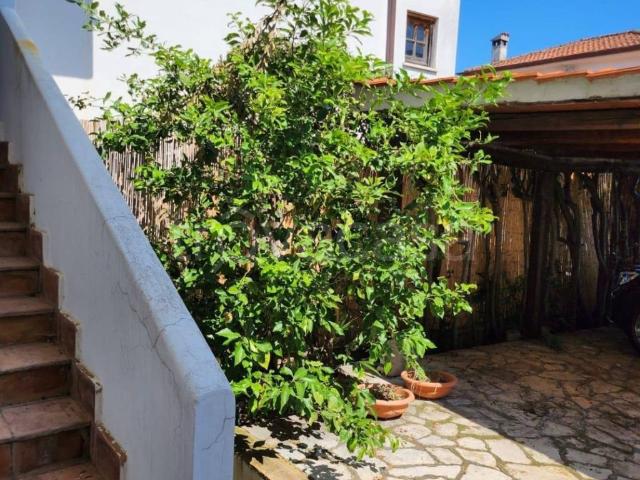 Villa a Schiera in in affitto da privato a Sabaudia via Litoranea, giardino, posto auto, terrazzo TrovaCasa