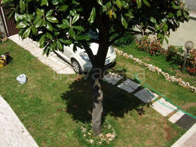 Villa a Schiera in in affitto da privato ad Anzio via Tirelli, 10, giardino, posto auto, da privato TrovaCasa