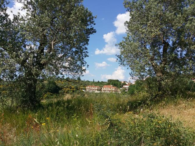 VILLA A SCHIERA in VENDITA a MONTALCINO di 6 vani