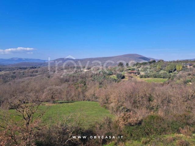 Villa a schiera in vendita a Canale Monterano