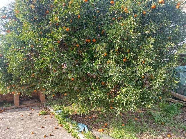 Villa a schiera in vendita a Licola, Giugliano in Campania