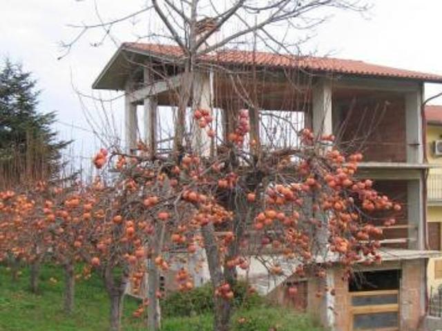 Villa a schiera in vendita a San Martino sulla Marrucina
