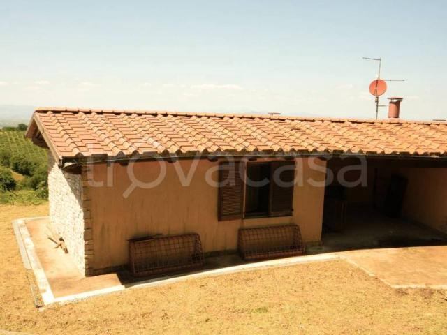 Villa a schiera in vendita a Scansano