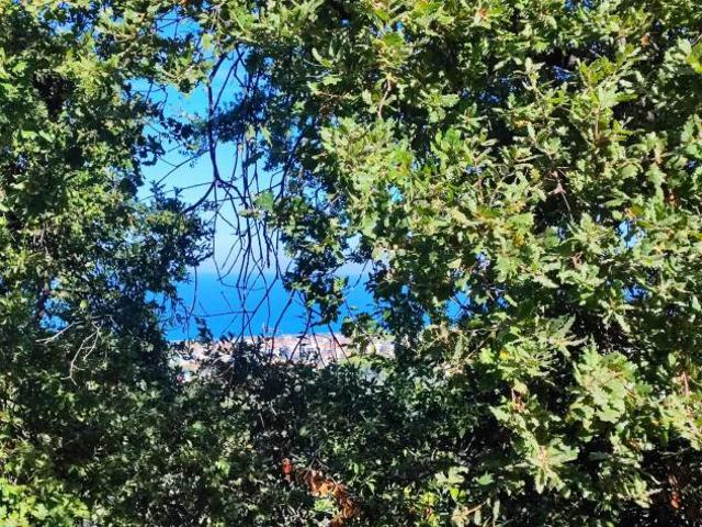 Villa a schiera Pescara. Rif.: Rif 242t