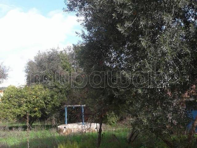 Villa à vendre