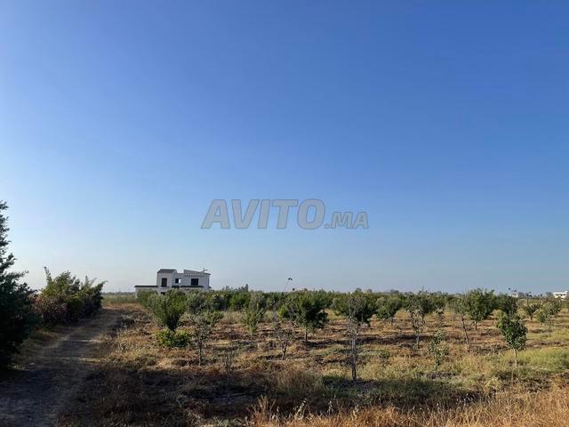 Villa a vendre