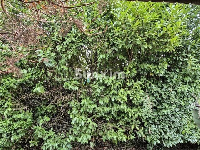 Villa with 7 rooms on sale in Cointrin 200 m² | dreamo. Ch