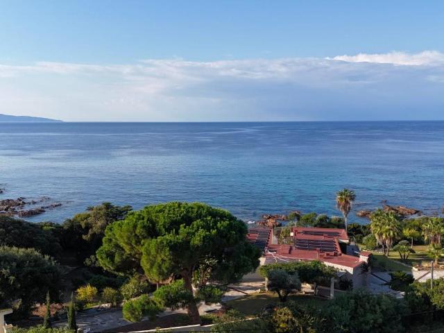 Villa A Vendre A Sagone 165m² Vico