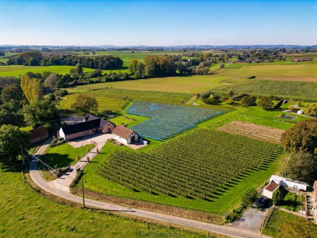 Villa à vendre pour 1275000 euro avec 3 chambres à coucher