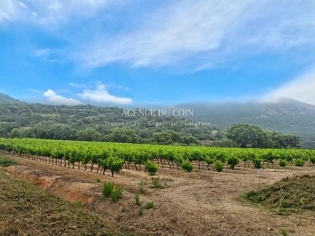 Villa à vendre sur Grimaud