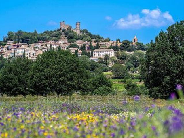 Villa à vendre sur Grimaud