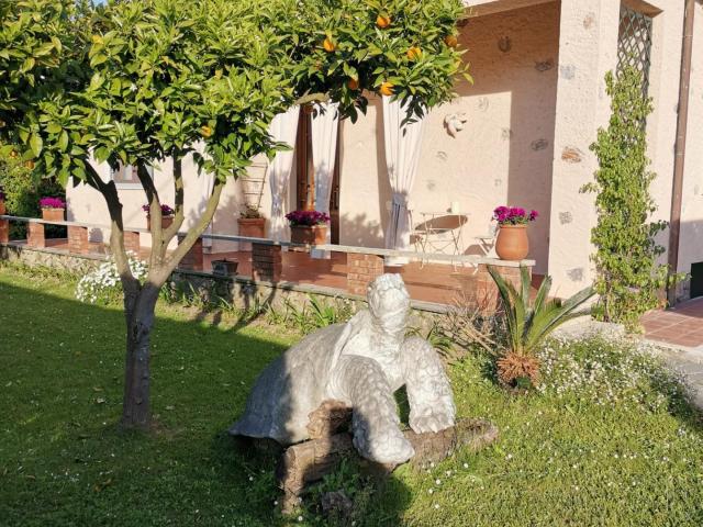 Villa arredata in affitto a Forte dei Marmi