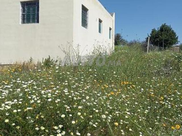 Villa avec jardin à vendre