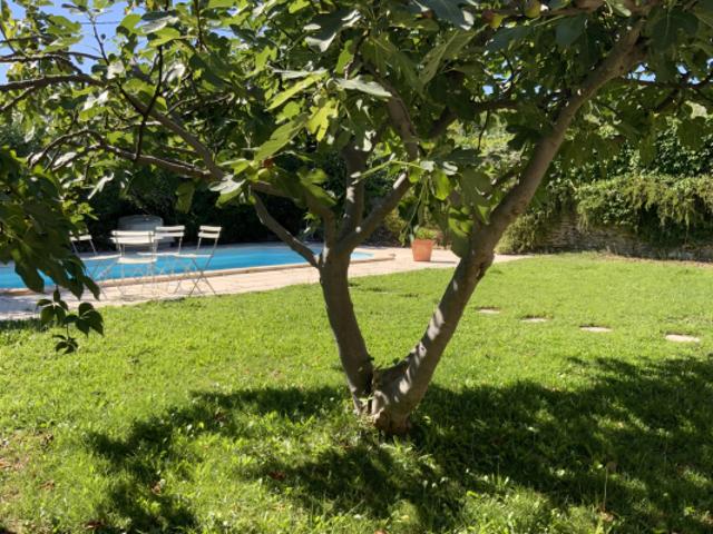Villa avec piscine à 4 km d' Uzès