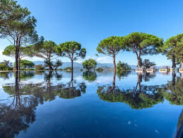 Villa avec Piscine en Bord de mer