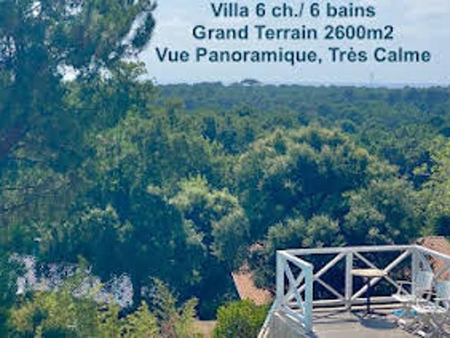 Villa avec piscine en bord de mer