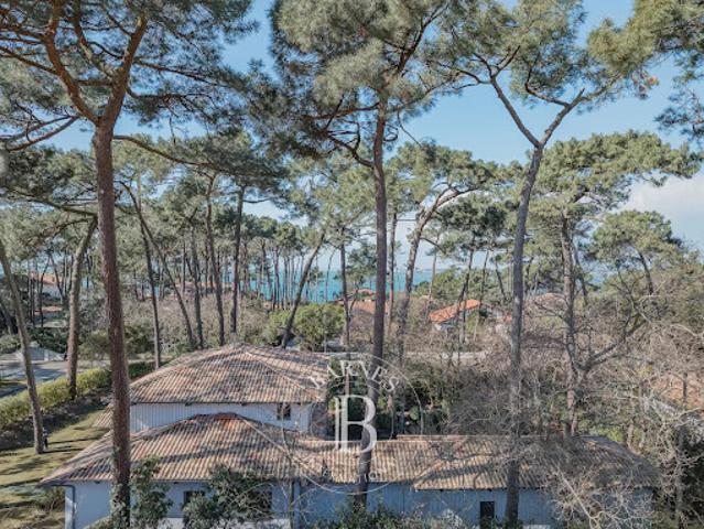 Villa avec piscine et jardin