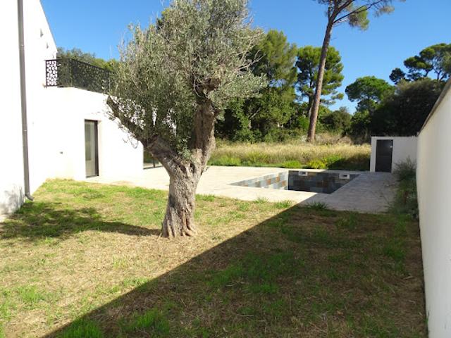 Villa avec piscine et jardin