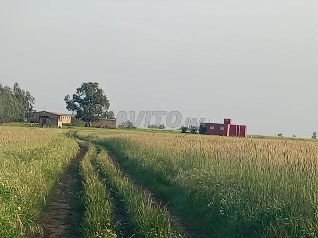Villa avec terrain agricole Thiter Fonsi 4 hectares 430 millions
