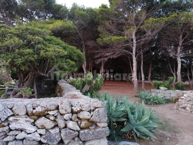 Villa bifamiliare Contrada Mulino a Vento, Centro, Favignana