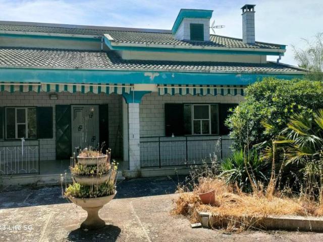 Villa bifamiliare in vendita a Corato viale delle Margherite