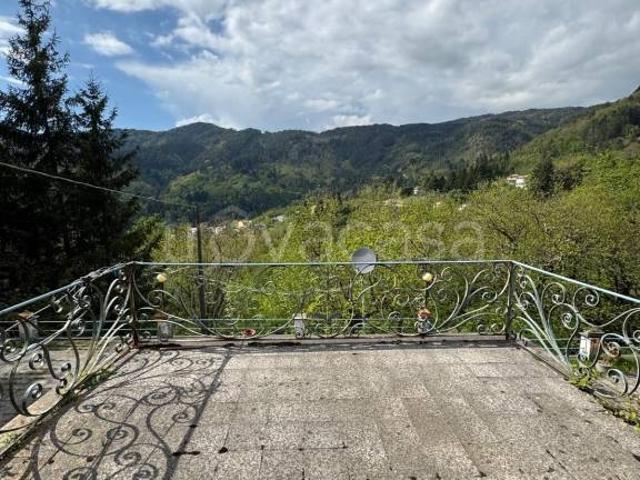 Villa bifamiliare in vendita a Borzonasca
