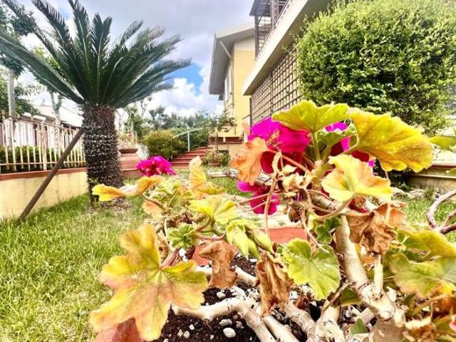 Villa bifamiliare in vendita a Follonica