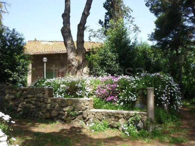 Villa bifamiliare in vendita a Fiumicino via Aurelia, 2497, Aranova