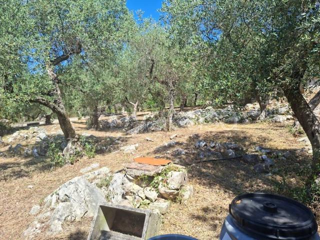 Villa bifamiliare in vendita a Itri