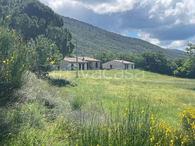 Villa bifamiliare in vendita a Massa Martana