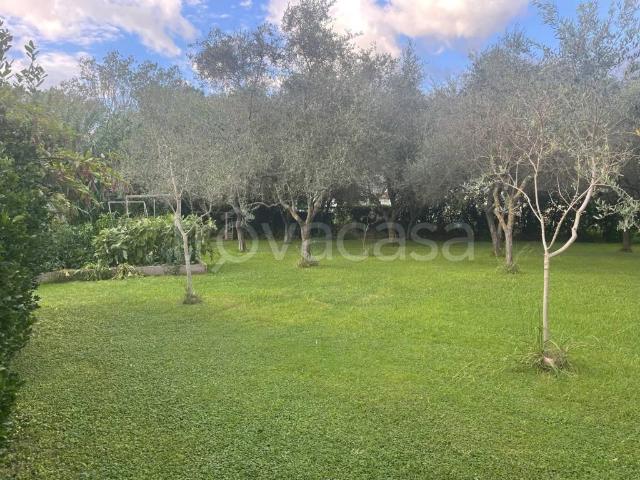Villa bifamiliare in vendita a Sarzana