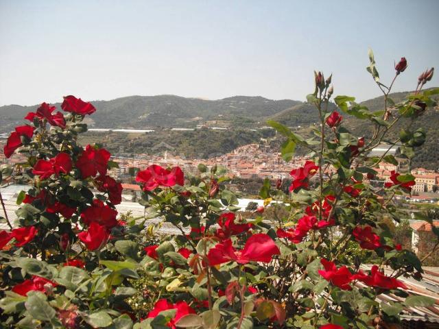 Villa bifamiliare in vendita a Taggia