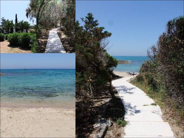 Villa Bifamiliare in affitto a Ostuni via delle Viole, arredato, giardino, terrazzo TrovaCasa