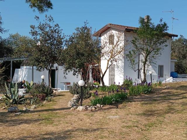 Villa Bifamiliare in affitto a Noci contrada Lezzi, 131, frigorifero, angolo cottura TrovaCasa