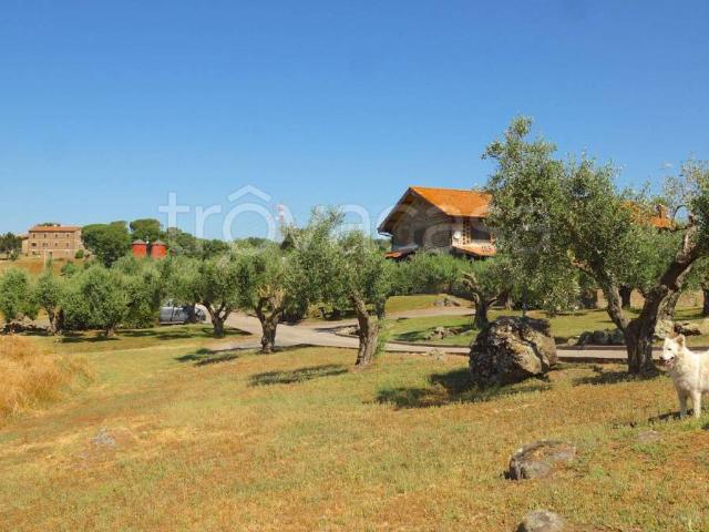 Villa Bifamiliare in affitto a Nepi strada Provinciale Settevene, non arredato/vuoto, giardino privato, caminetto TrovaCasa