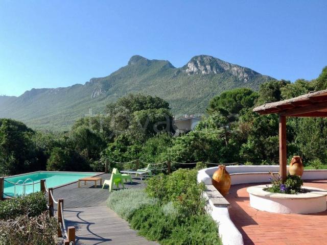 Villa Bifamiliare in affitto a Sabaudia strada Lungomare Pontino, 14487, arredato, giardino privato, terrazzo TrovaCasa