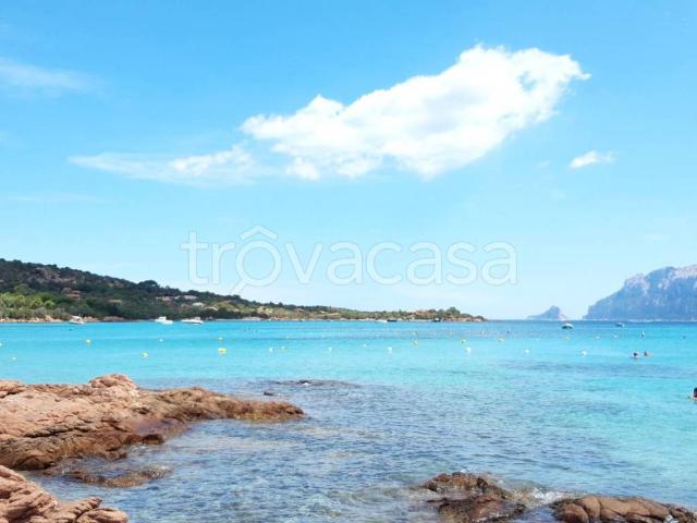 Villa Bifamiliare in affitto a San Teodoro via di Lu Impostu, 14, arredato, terrazzo, vista mare TrovaCasa