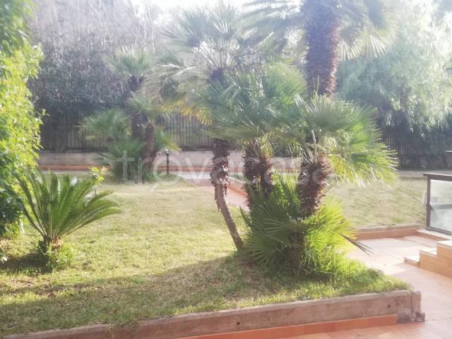 Villa Bifamiliare in affitto a Palermo piazza Caboto, non arredato/vuoto, giardino privato, posto auto TrovaCasa