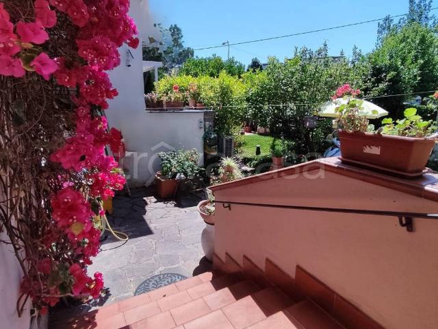 Villa Bifamiliare in affitto a Pisa via Giuseppe Parini, giardino, aria condizionata, zanzariere TrovaCasa