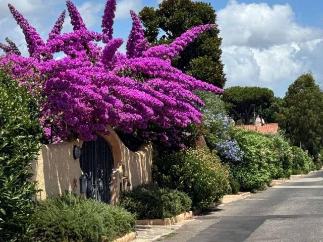 Villa Bifamiliare in affitto ad Ardea viale Colle Romito 58, arredato, giardino privato, aria condizionata TrovaCasa