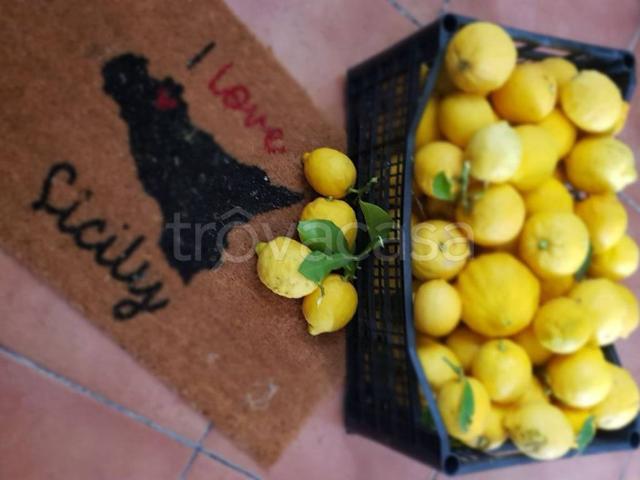 Villa Bifamiliare in in affitto da privato a Monreale vicolo La Fata, da privato TrovaCasa