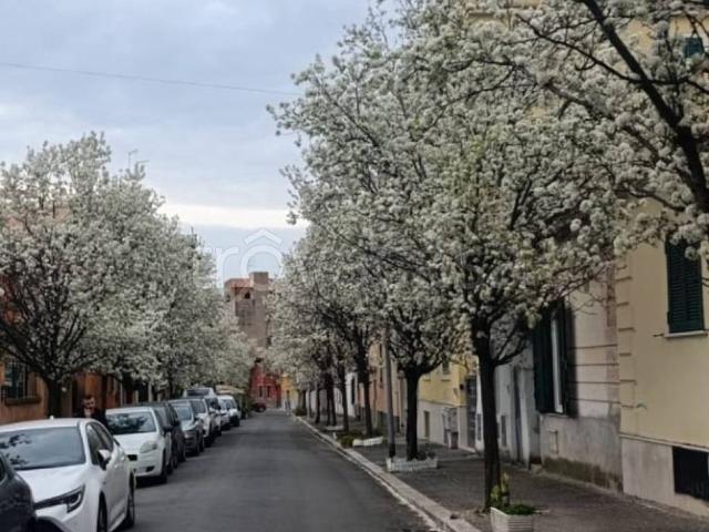 Villa Bifamiliare in in affitto da privato a Roma via dei Corneli, 32b, da privato TrovaCasa
