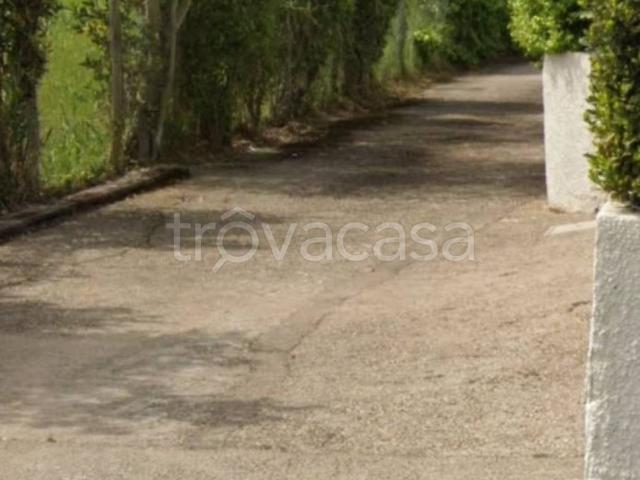 Villa Bifamiliare in in affitto da privato a San Felice Circeo via Terracina, 36, giardino, da privato TrovaCasa