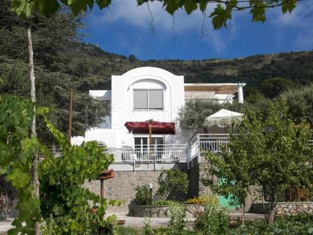 Villa Bifamiliare in in affitto da privato ad Anacapri strada Provinciale anacarpi faro punta Carena, 25, giardino privato, terrazzo, da privato TrovaCasa