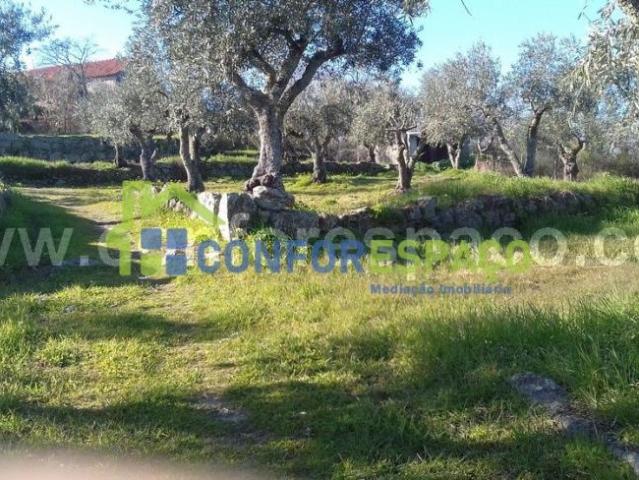 villa Castelo Branco Castelo Branco 6000 DS98093645