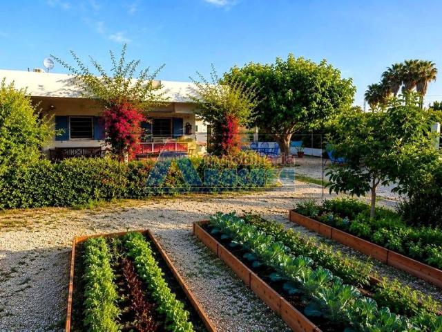Villa / Chalet de 194 m2 en venta en Oliva, España