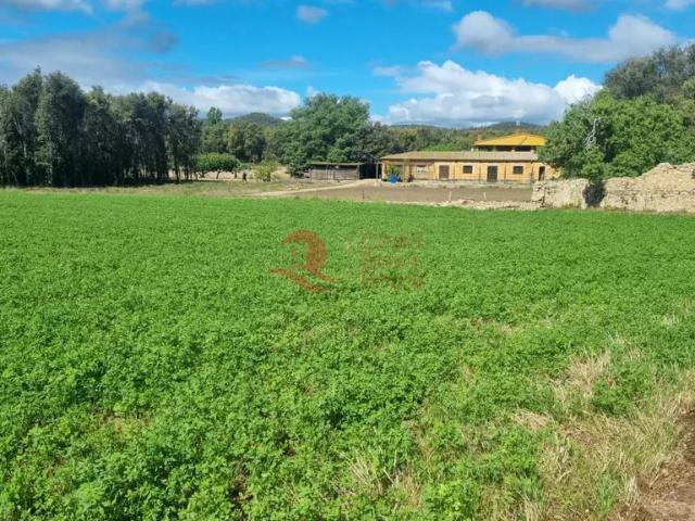 Villa / Chalet de 482 m2 en venta en Palafrugell, España
