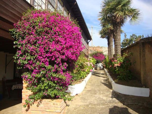 Villa / Chalet de 927 m2 en venta en Llanes, Principado de Asturias