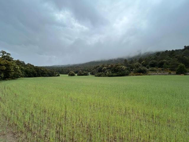Villa / Chalet de lujo 529 m2 en venta, El Toro, España