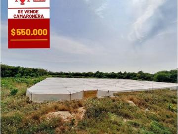 Villa / Chalet de lujo en venta Arenillas, Provincia de El Oro